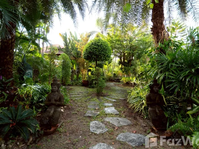 place photo 42