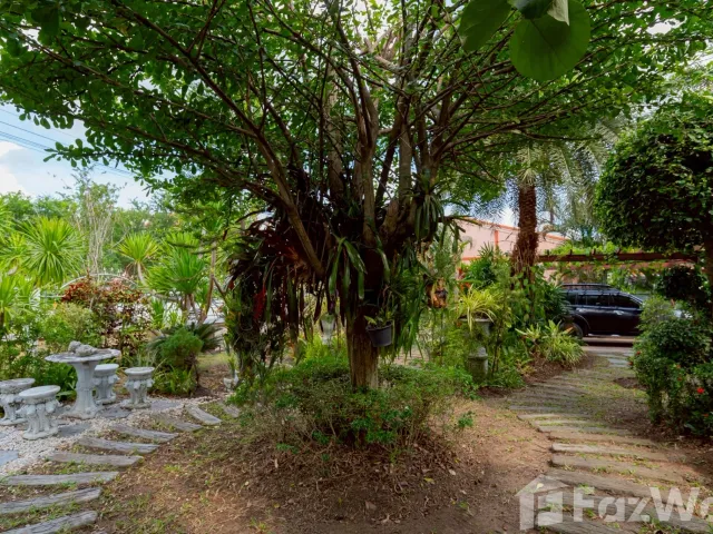 place photo 51