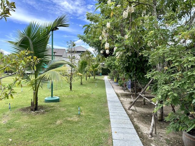 place photo 43
