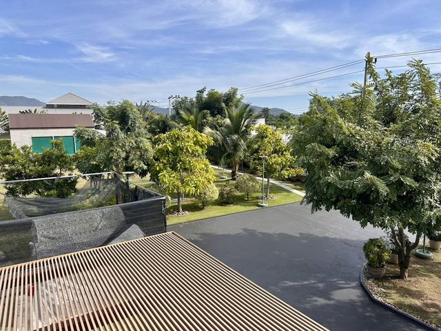place photo 66