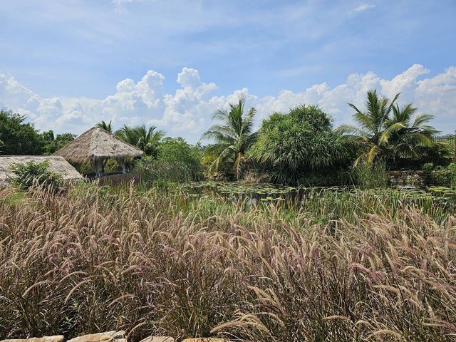 place photo 80