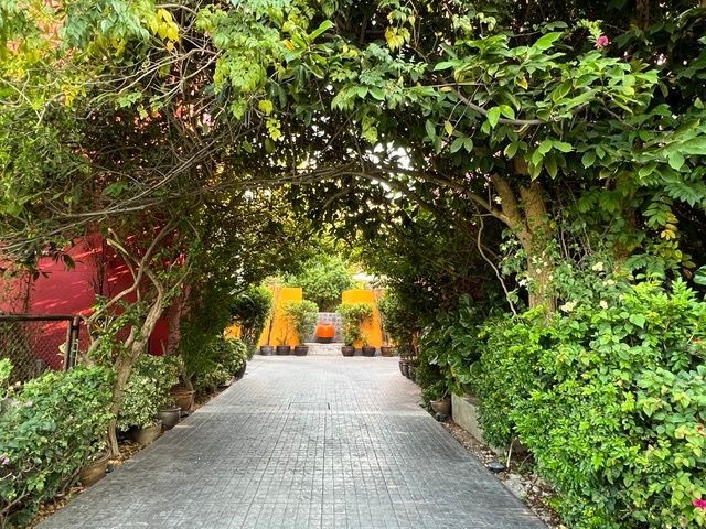 place photo 13
