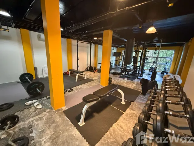 place photo 29
