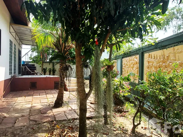 place photo 44