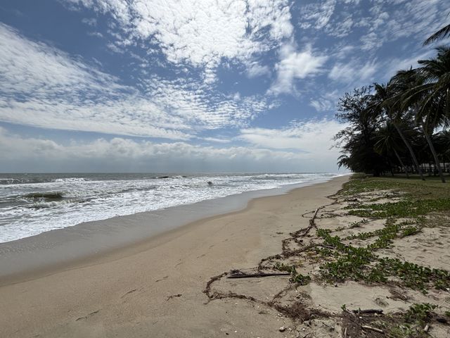 place photo 29