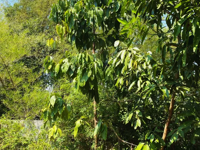place photo 53