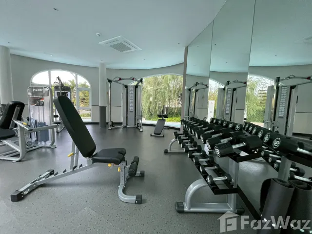 place photo 21