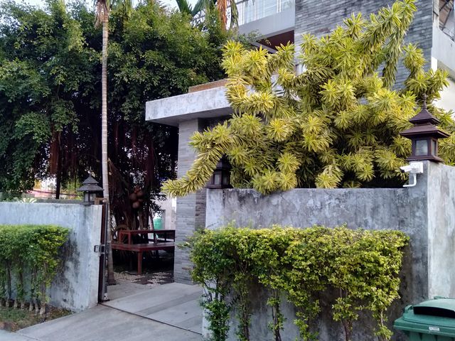 place photo 42