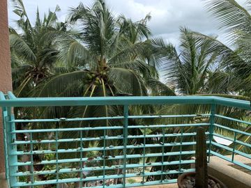 place photo 57