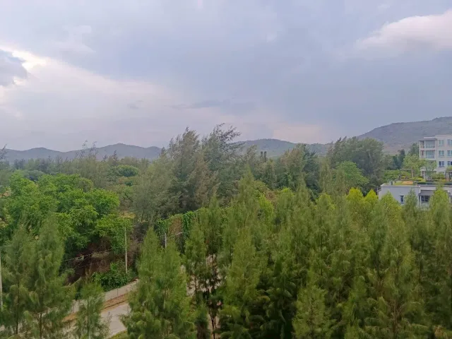 place photo 15