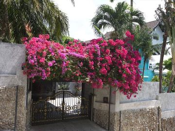 place photo 33