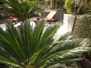place photo 37