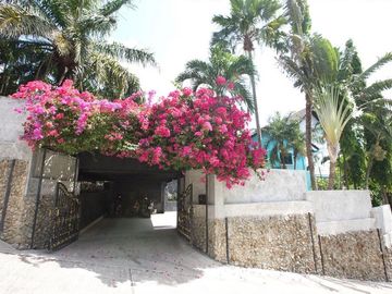 place photo 32