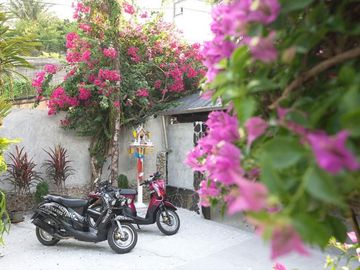 place photo 29