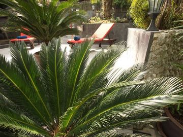 place photo 36