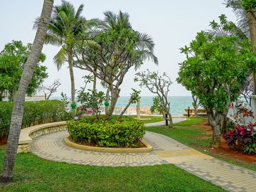 place photo 20