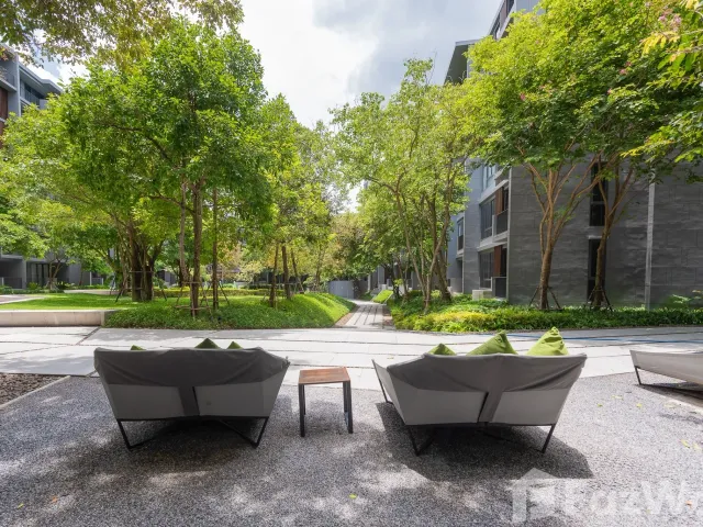 place photo 48
