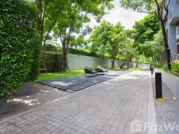 place photo 43