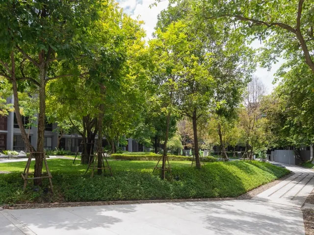 place photo 47