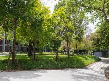 place photo 47