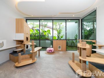 place photo 49
