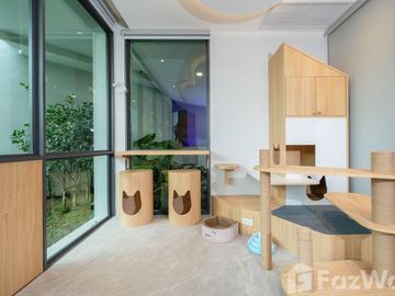 place photo 50