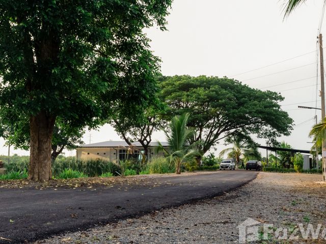 place photo 32
