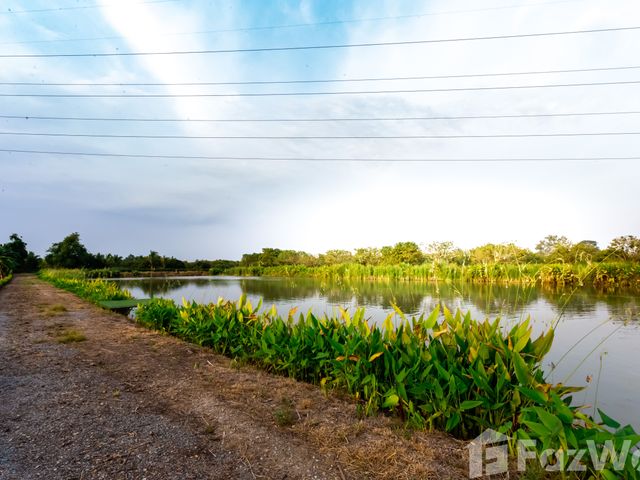 place photo 38