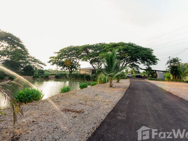 place photo 33