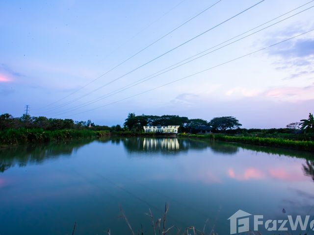 place photo 49