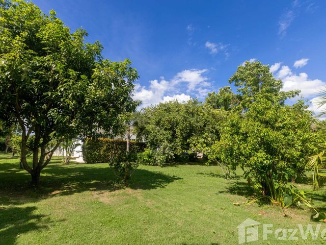 place photo 31