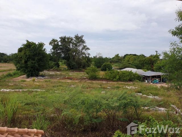 place photo 18