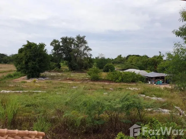 place photo 18