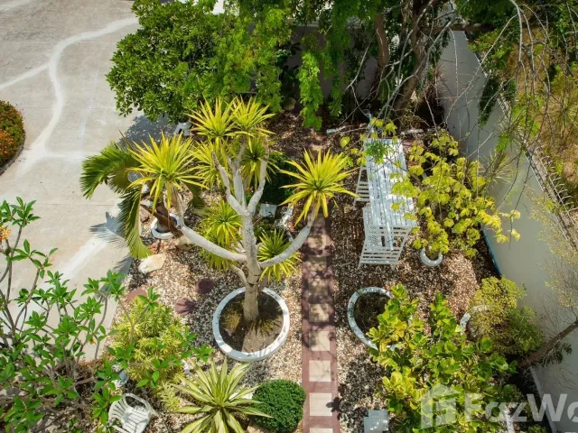 place photo 36