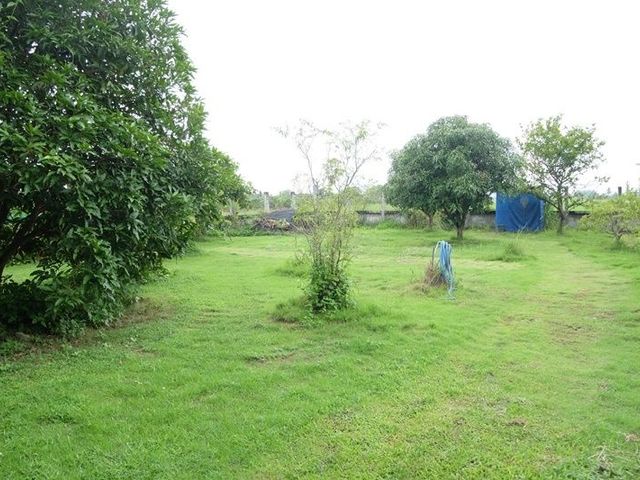 place photo 18