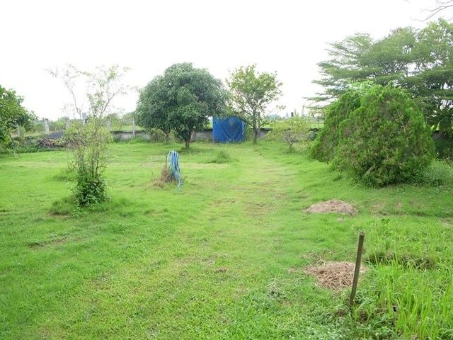 place photo 19