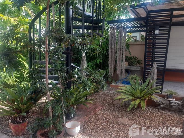 place photo 36