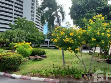 place photo 52