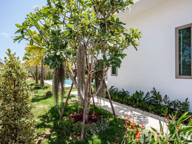 place photo 31
