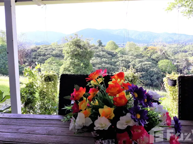 place photo 37