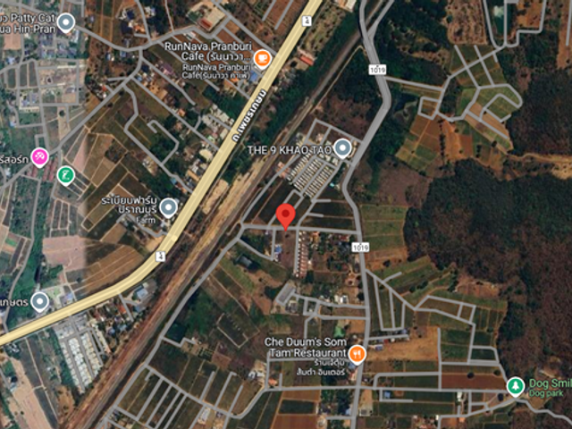 place photo 35