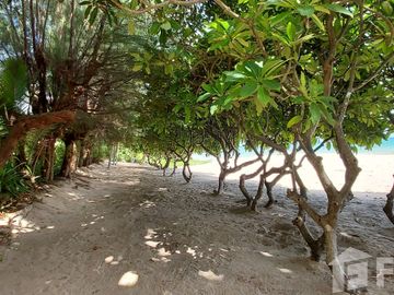 place photo 35