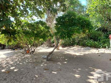 place photo 30