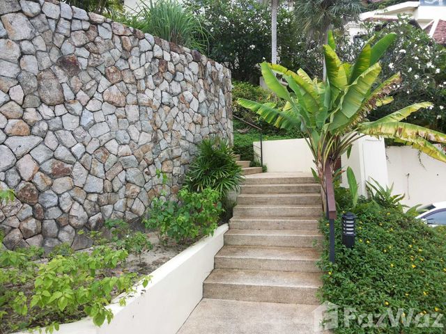 place photo 37