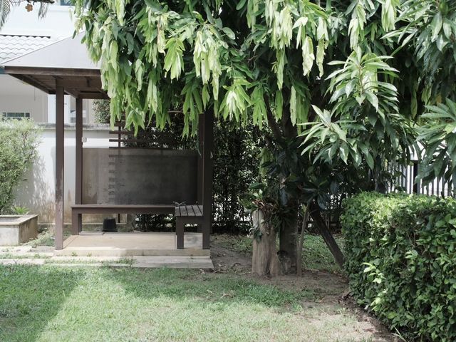 place photo 44
