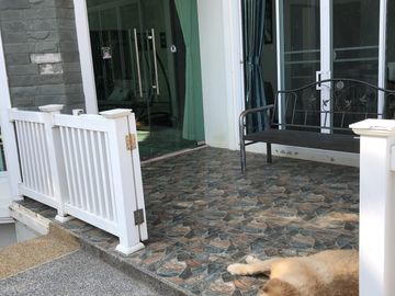 place photo 44