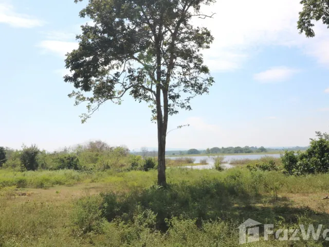 place photo 52