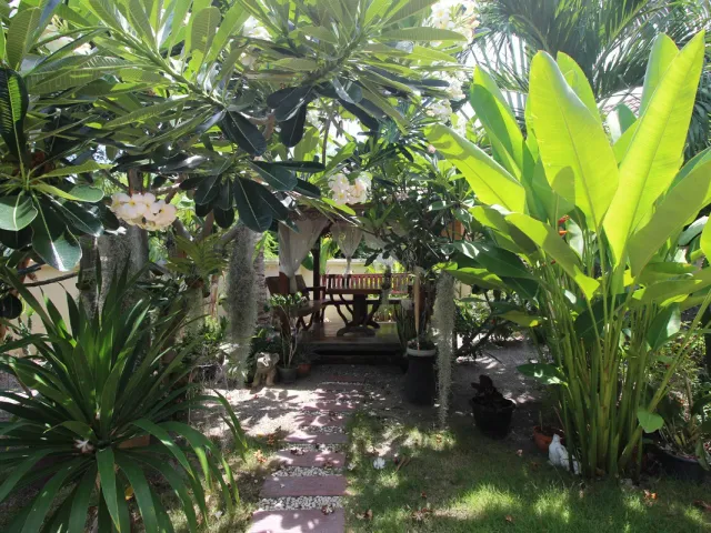 place photo 16