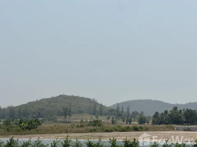 place photo 35