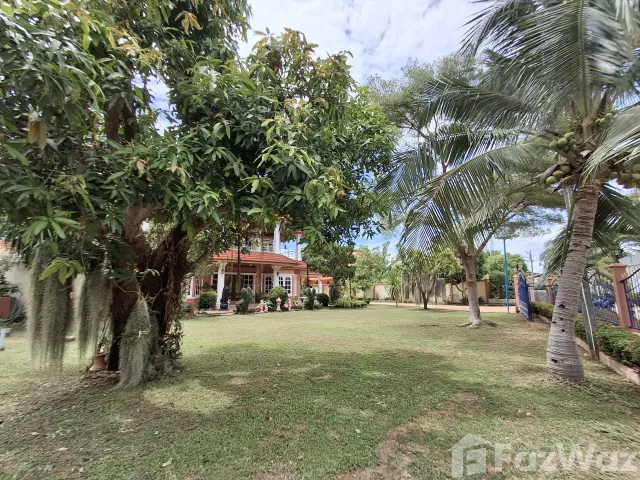 place photo 48